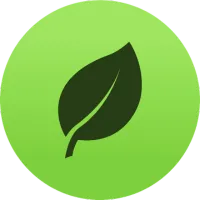 MongoDB MongoDB